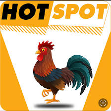 Chicken Hotspot